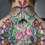 Luna moth and ornate design  Tattoo Design Thumbnail
